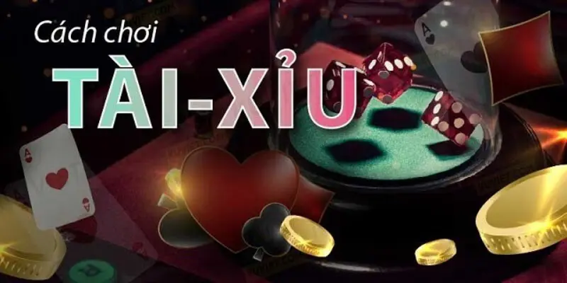 Cụ thể cách chơi và luật chơi tài xỉu cho người mới chơi