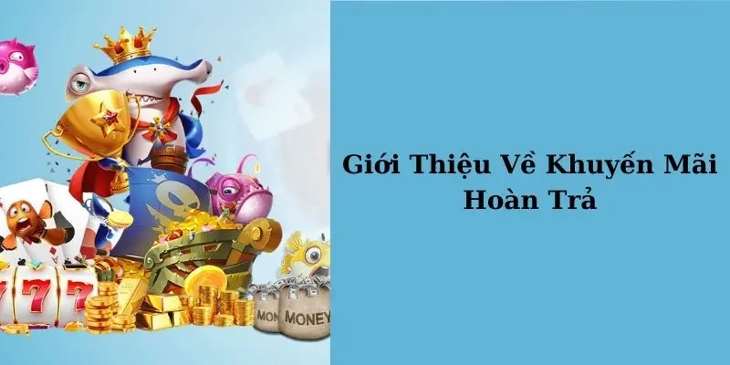 Tổng quan về khuyến mãi hoàn trả cực hot tại nhà cái